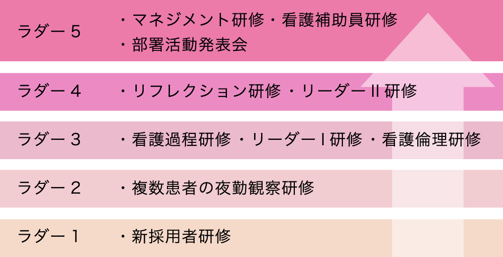 ラダー5・マネジメント研修・看護補助員研修・部署活動発表会　ラダー4・リフレクション研修 ・リーダーII研修　ラダー3・看護過程研修 ・リーダーI研修 ・看護倫理研修　ラダー2・複数患者の夜勤観察研修　ラダー1・新採用者研修